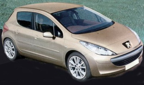 novinky_tuning_foto/09_08_2004_peugeot/03