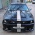 Mустанг - z Lady Mustang
