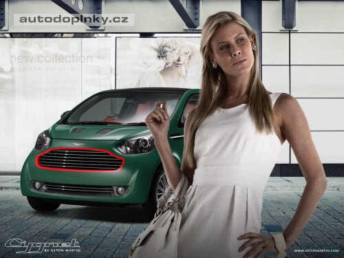 Cygnet s novou porc� obr�zk�