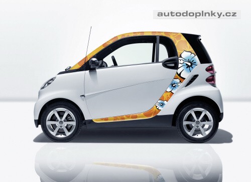 Mercedes p�ipravil novinky pro Smart