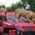 Drtiv� Marauder v Top Gearu