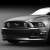 �ensk� Mustang m� v�t�ze