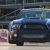 Shelby 1000 - video