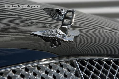 Ornament pro Bentley
