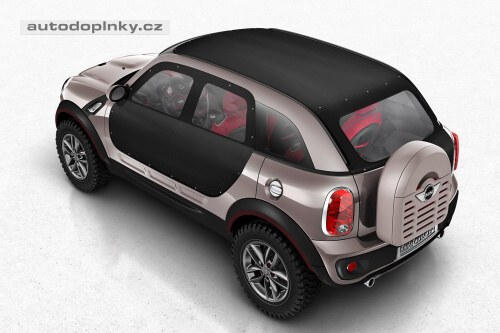 Mini Beachcomber