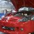 MG TF se op�t vyr�b� v Anglii