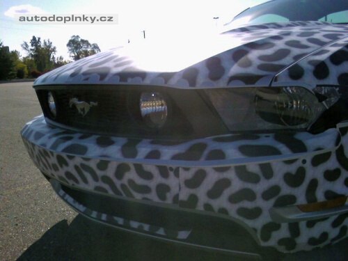 Nov� Mustang zachycen �piony
