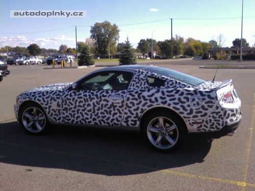Nov� Mustang zachycen �piony