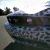 Nov� Mustang zachycen �piony