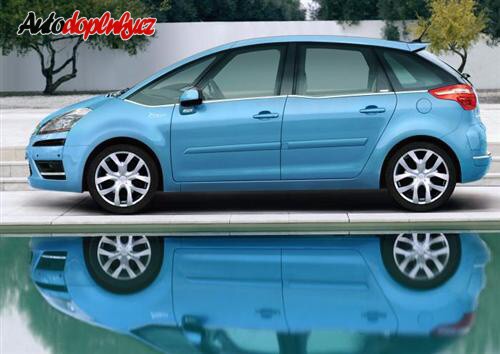 Citro�n C4 Picasso