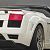Gallardo Spyder od IMSA