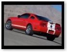 Shelby GT500