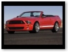 Shelby GT500
