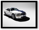 Shelby GT500