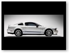 Shelby GT500