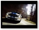 Shelby GT500