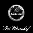 novinky_tuning_foto/25_08_2004_carlsson/logo
