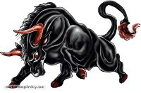 Obr�zek v�robku