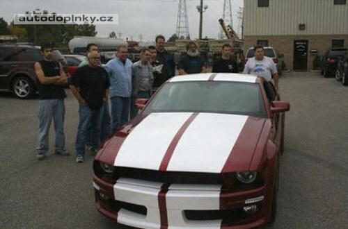 Ford Mustang Gallardo