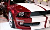 Ford Mustang Gallardo