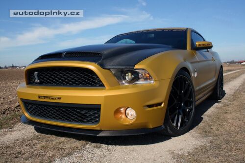 Mustang Golden Snake