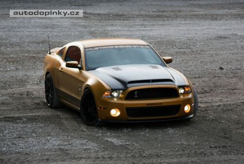 Mustang Golden Snake