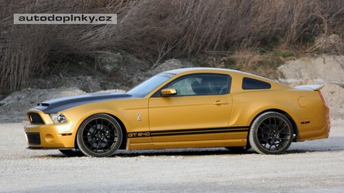 Mustang Golden Snake