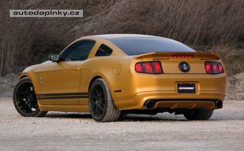 Mustang Golden Snake