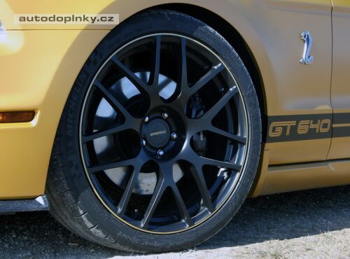 Mustang Golden Snake