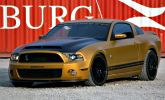 Mustang Golden Snake