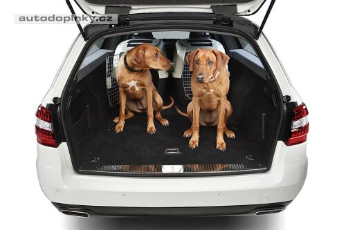 Mercedes E s dlouhou z�d�