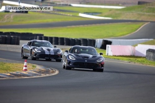 Viper SRT jde do prodeje