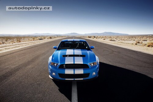Ford Mustang GT 500 v nov�m