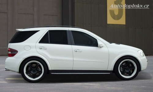 Kicherer ML 42