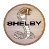 F-150 od Shelbyho