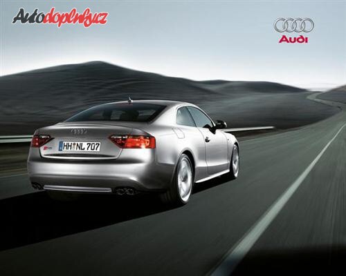 Audi S5 m� �sp�ch zaru�en