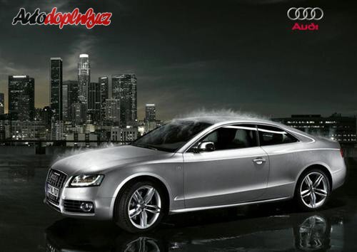Audi S5 m� �sp�ch zaru�en