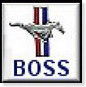 Ford Mustang Boss 2007