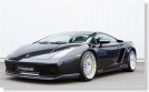 Hamann Gallardo