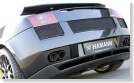 Hamann Gallardo