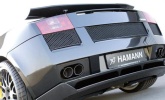 Temn� s�l�: Gallardo od Hamanna