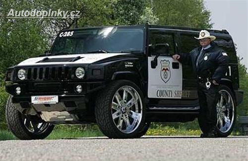 Geiger Hummer