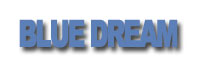 �koda Rapid Blue Dream