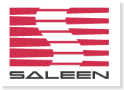 Saleen 2007