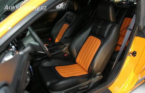 Saleen 2007