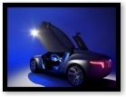 Ford Reflex