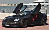 Perfectus SLR