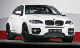 BMW X6 White Shark MCCHIP