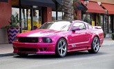 R��ov� Mustang Salleen Molly Pop
