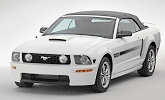 Mustang pro slunnou Kalifornii